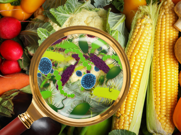 All About Genetic Modification in Crop Biotechnology.