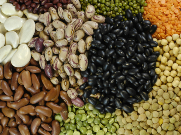 World Pulses Day 2023: Driver for Sustainable Future