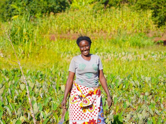 Who Are Smallholder Farmers? Small But Mighty!