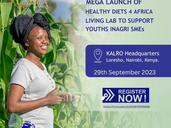 Call For Application: Scaling Food Systems Innovations by Youths for Healthy Diets 4 Africa