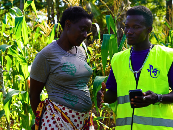 Can Youths Bridge Digital Divide In Agriculture In Africa?
