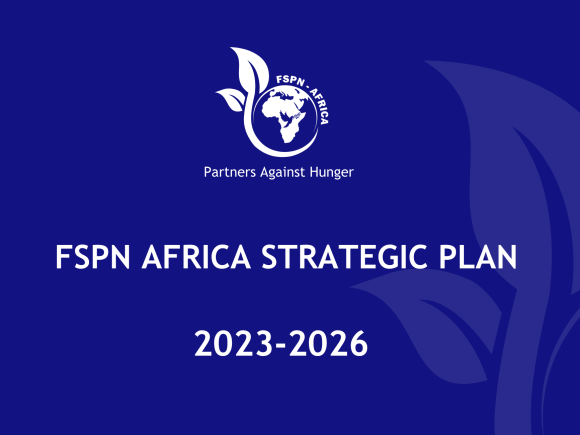 FSPN AFRICA STRATEGIC PLAN 2023-2026