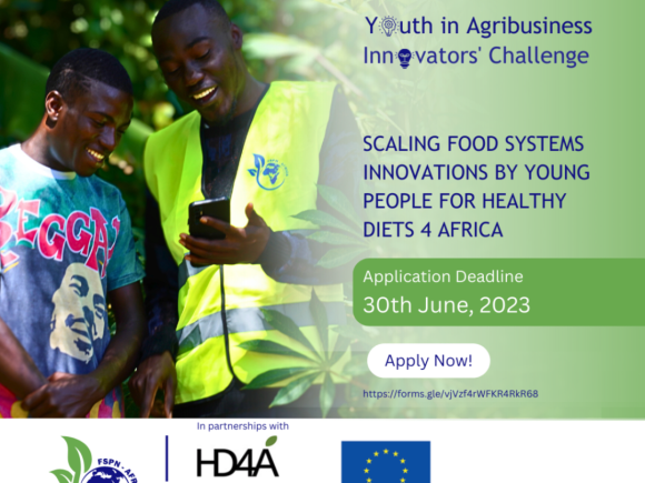 Call For Application: Scaling Food Systems Innovations by Youths for Healthy Diets 4 Africa