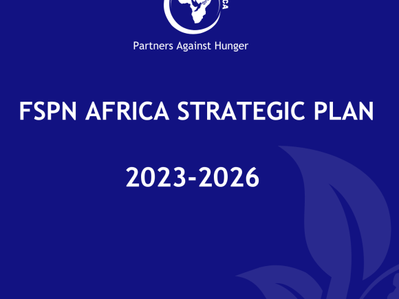 FSPN AFRICA STRATEGIC PLAN 2023-2026