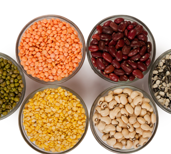 World Pulses Day 2023: Driver for Sustainable Future