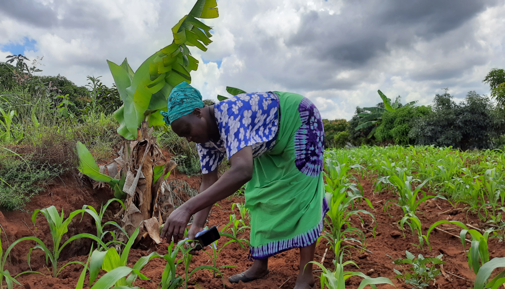 The Role of Women in Agriculture Value Chains in Sub Saharan Africa ...