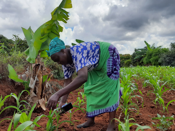 The Role of Women in Agriculture Value Chains in Sub Saharan Africa