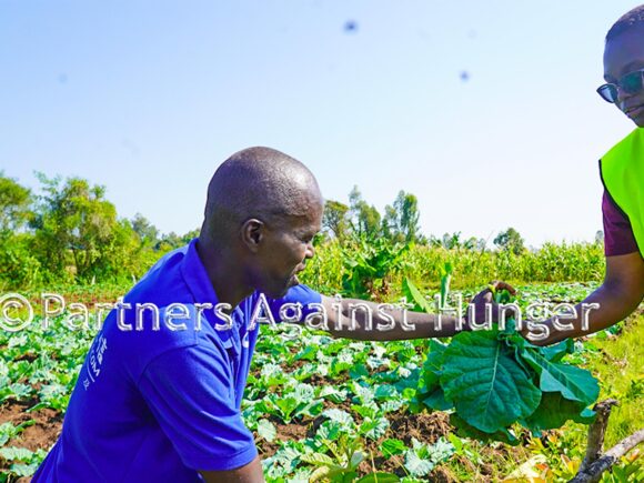 Climate and Agriculture Ep21: The Promise of Regenerative Agriculture