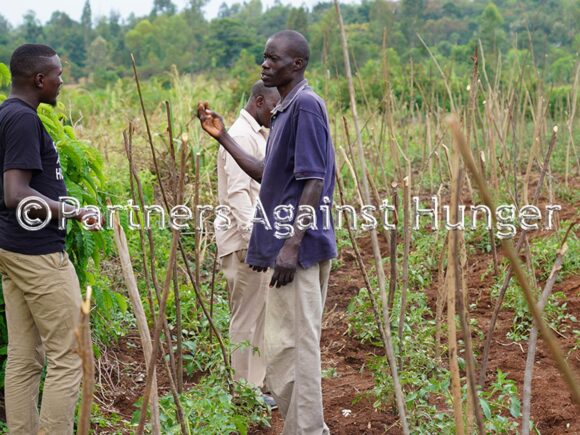 Farmers Voice Ep23: Farmers Point Fingers at Inorganic Fertilizers for Their Dying Soil.