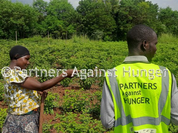 International Policy Ep26, Malabo Declaration: The Race to Transform Food System by 2025, Can Africa Meet its Goals?