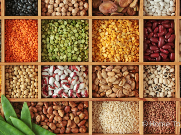 National Policy Ep29: Seed Laws: You Will be Committing a Crime to Share Indigenous Seeds With Your Neighbour