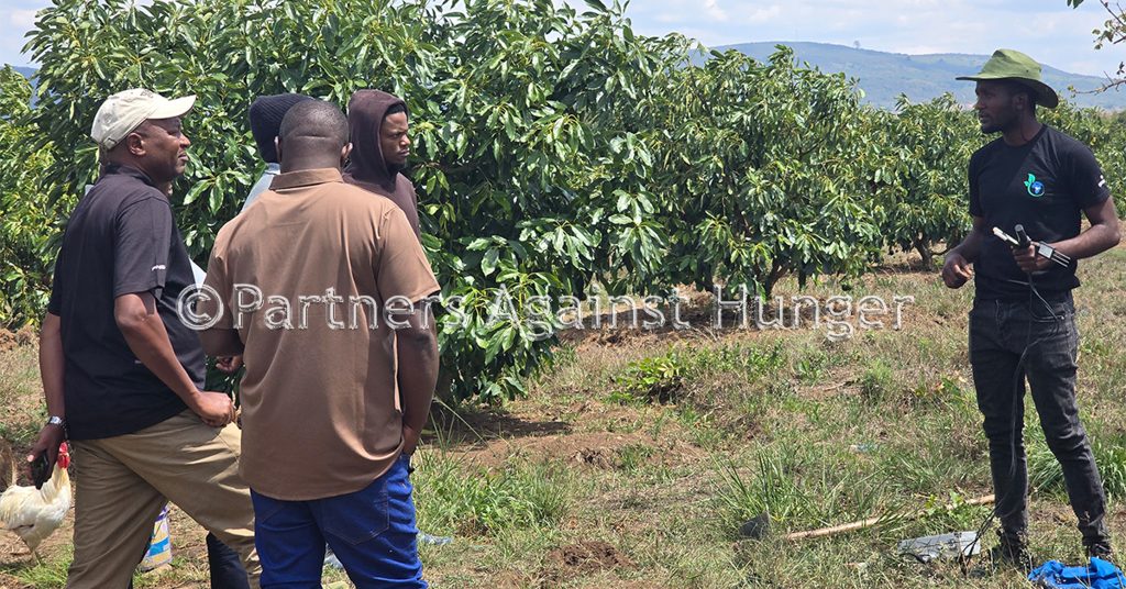 CAFAESUP Project Advancing Carbon Farming for Agricultural and Environmental Sustainability