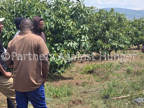 CAFAESUP Project Advancing Carbon Farming for Agricultural and Environmental Sustainability