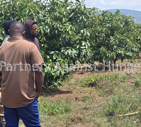 CAFAESUP Project Advancing Carbon Farming for Agricultural and Environmental Sustainability
